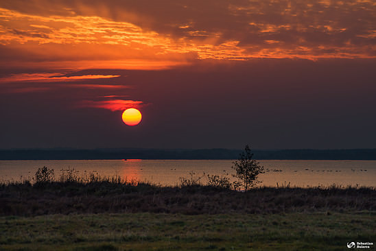 Sunset over Hornborgasjön