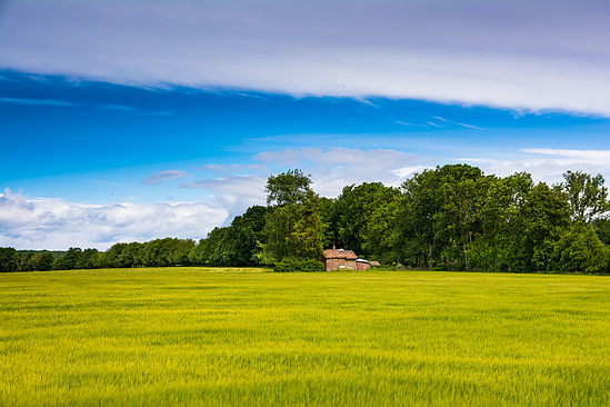 The staturated colours of the early summer in the Swedish countryside