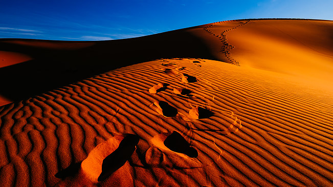 My Steps in Sahara, Morocco